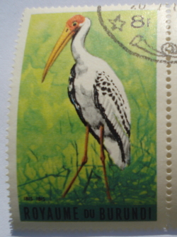 Image #1 of 8 Francs - Yellow-billed Stork (Mycteria ibis)