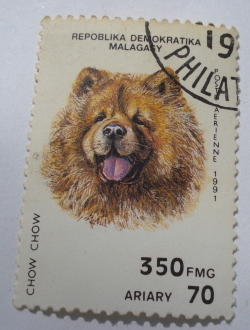 350 Franci 1991 - Chow-Chow (Canis lupus familiaris)