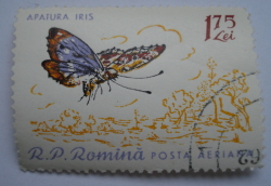 Image #1 of 1.75 Lei - Apatura Iris