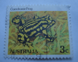 3 Cents 1984 - Corroboree Frog (Pseudophryne corroboree) Perf:14 x 14½
