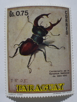 0.75 Guarani - Stag-beetle