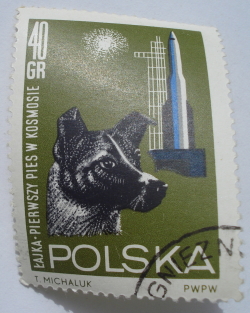 Image #1 of 40 Grosz - Dog "Laika" (Canis lupus familiaris) and Missile Launcher