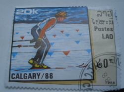 20 Kip 1988 - Ski Race