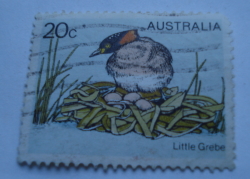 20 Cents 1978 - Little Grebe (Tachybaptus novaehollandiae)