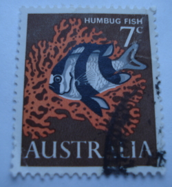 Image #1 of 7 Cents 1966 - Humbug Fish (Dascyllus aruanus)