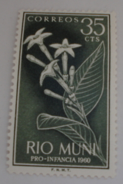 35 Centimo 1960 - Quina plant