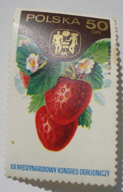 50 Grosz - Căpșuni (Fragaria grandiflora)