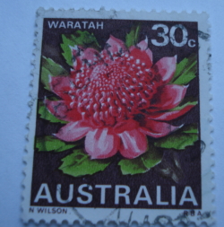 30 Cents 1968 - Waratah (Telopea speciosissima), New South Wales - type I