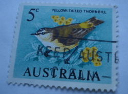5 Cents 1966 - Yellow-tailed Thornbill (Acanthiza chrysorrhoa)
