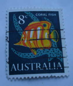 Image #1 of 8 Cents 1966 - Coral Fish (Chelmon rostratus)
