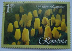 Image #1 of 1.50 Lei 2006 - Yellow Empress