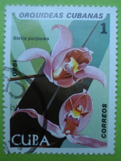 Image #1 of 1 Centavo - Orchids - Bletia Purpurea
