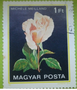 1 Forint - Roses - Michele meilland