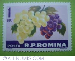 Image #1 of 1 Leu - Grapes