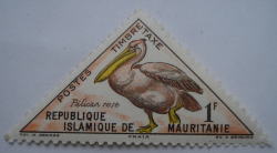 Image #1 of 1 Franc - Rosy Pelican (Pelecanus onocrotalus)
