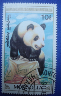 Image #1 of 10 Mongo - Giant Panda