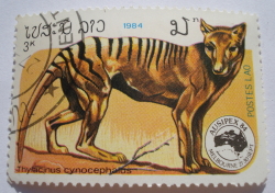 3 Kip 1984 - Tasmanian Tiger (Thylacinus cynocephalus)