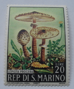 Image #1 of 20 Lire 1967 - Lepiota procera