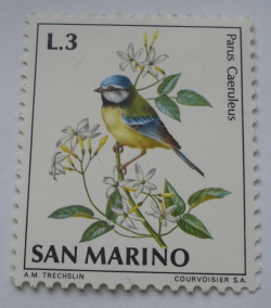 Image #1 of 3 Lire - Piţigoi albastru (Parus caeruleus)