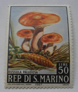 50 Lire 1967 - Russula paludosa