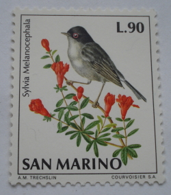 Image #1 of 90 Lire - Sardinian Warbler (Sylvia melanocephala)