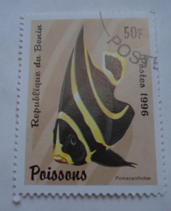 Image #1 of 50 Francs 1996 - Angelfish (Pomacanthus sp.)