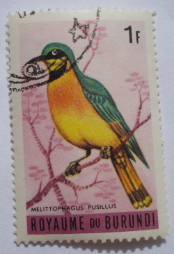 Image #1 of 1 Franc - Little Bee-eater (Melittophagus pusillus)