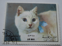 1 Riyal - Cat (Felis silvestris catus)