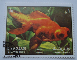 1 Riyal - Goldfish (Carassius auratus var.)