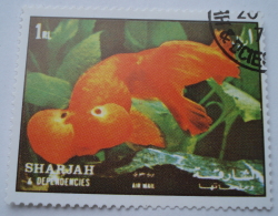 1 Riyal - Goldfish (Carassius auratus var.)