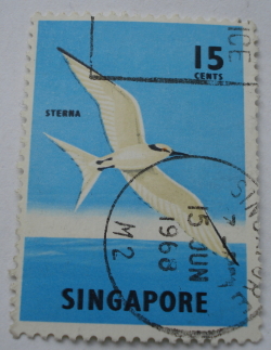 15 Cents - Black-naped Tern (Sterna sumatrana)