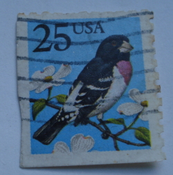 Image #1 of 25 Cents - Rose-breasted Grosbeak