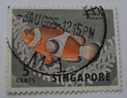 5 Cents - Percula Clownfish (Amphiprion percula)