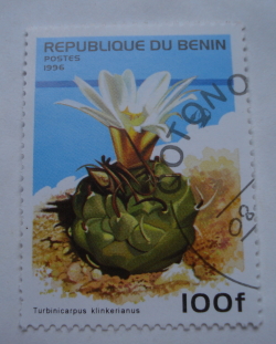 Image #1 of 100 Francs 1996 - Turbinicarpus Klinkerianus