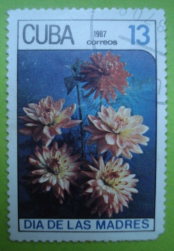 Image #1 of 13 Centavos - Mother Day - Dahlia