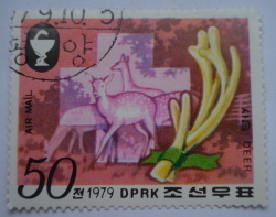 Image #1 of 50 Chon 1979 - Antlers and Sika Deer (Cervus nippon)