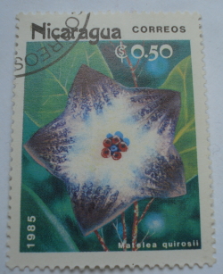 Image #1 of 0.50 Cordoba 1985 - Matelea quirosii