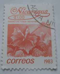 Image #1 of 1 Cordoba 1983 - Hibiscus rosa-sinensis