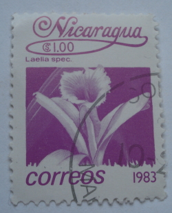Image #1 of 1 Cordoba 1983 - Laelia sp.
