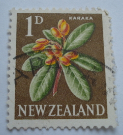Image #1 of 1 Penny 1960 - Karaka (Corynocarpus laevigatus)