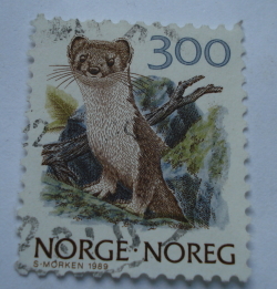 Image #1 of 3.00 Krone 1989 - Stoat/Ermine (Mustela erminea)