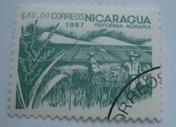Image #1 of 60 Cordoba 1987 - Rice