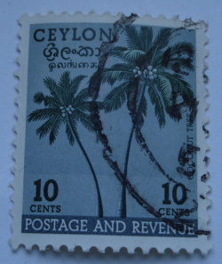 Image #1 of 10 Cents - Coconut Palms