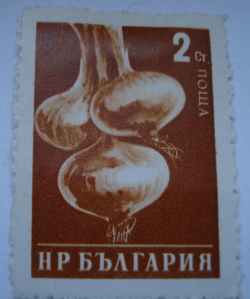 Image #1 of 2 Stotinka - Onions