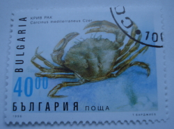 40 Leva - Green Crab
