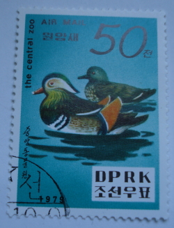 50 Chon 1979 - Zoo - Mandarin Duck (Aix galericulata)