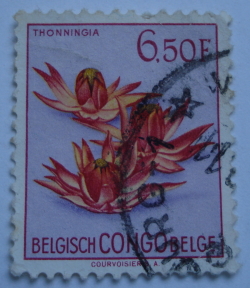 Image #1 of 6.50 Francs - Thonningia