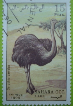 Image #1 of 15 Ptas. 1990 - Ostrich (Struthio camelus)