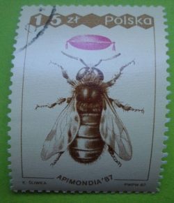 Image #1 of 15 Zlotych 1987 - Apimondia