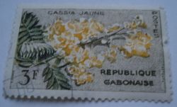 Image #1 of 3 Francs - Golden Shower Tree (Cassia fistula "deareana")